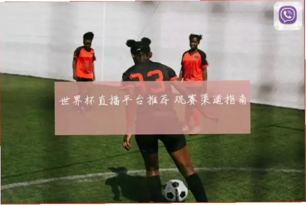 世界杯 直播｜世界杯直播免费平台推荐指南